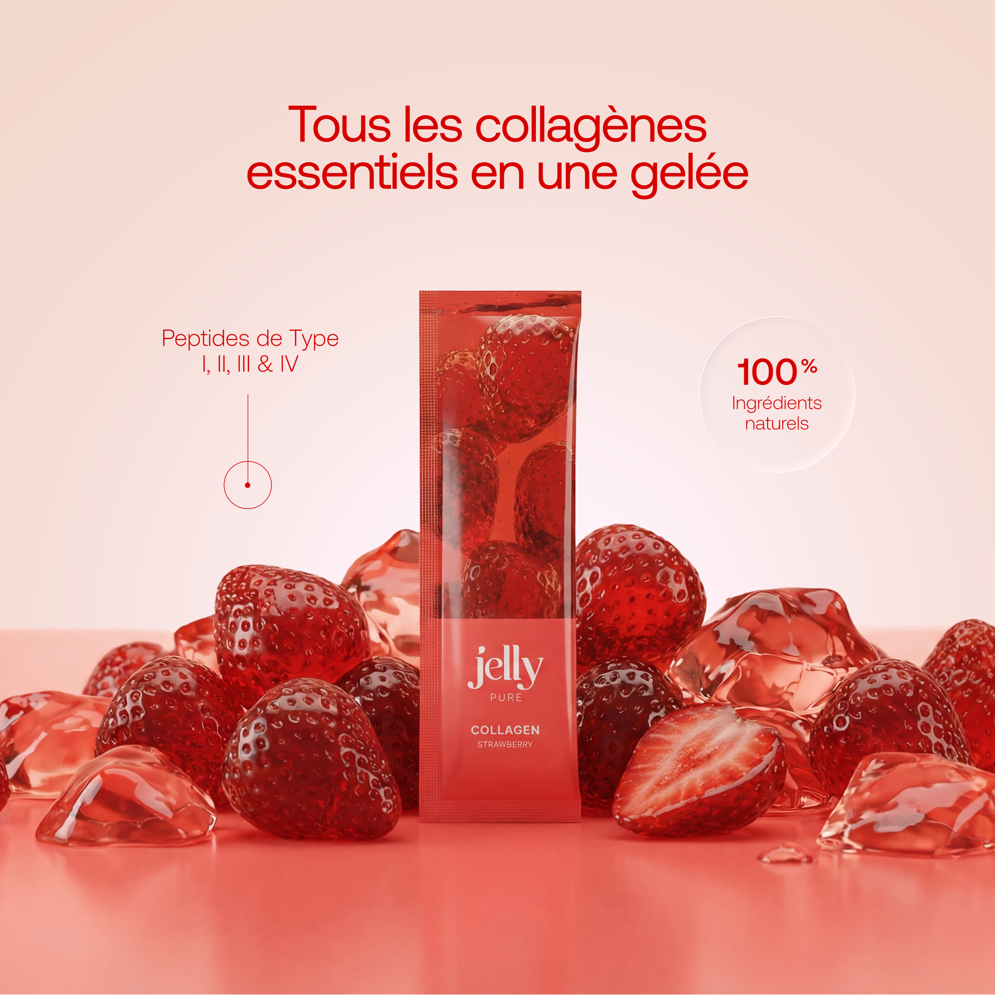 Gelée au collagène bioactif